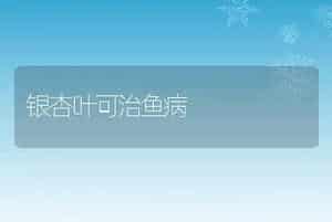银杏叶可治鱼病