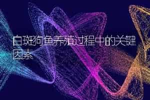 白斑狗鱼养殖过程中的关键因素