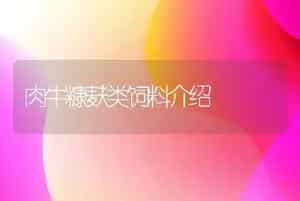 肉牛糠麸类饲料介绍