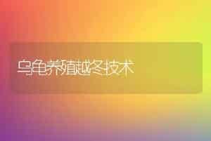 罗非鱼鱼种如何安全越冬