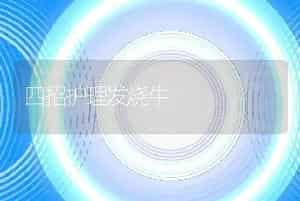 四招护理发烧牛