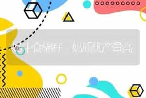 奶牛食棉籽 奶质优产量高