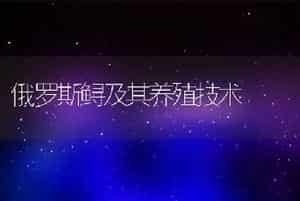 俄罗斯鲟及其养殖技术