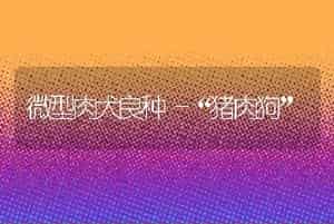 淡水白鲳鱼苗安全越冬技术要点