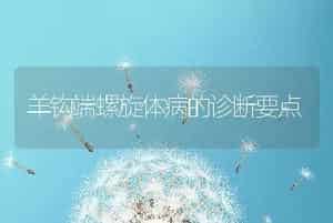 奶牛乳房冻伤的防治