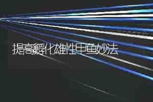 提高孵化雄性甲鱼妙法
