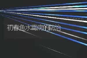 梭鱼养殖技术(2)的繁殖生物学