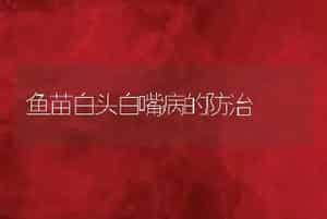鱼苗白头白嘴病的防治