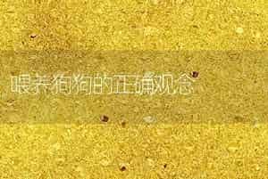 喂养狗狗的正确观念