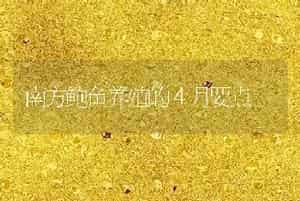 南方鲍鱼养殖的４月要点