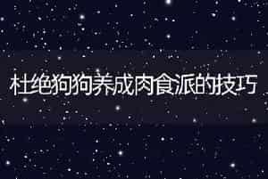 杜绝狗狗养成肉食派的技巧