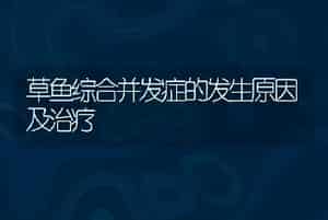 草鱼综合并发症的发生原因及治疗