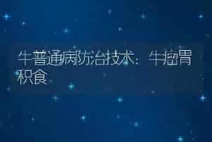 牛普通病防治技术：牛瘤胃积食