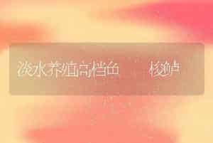 越冬鱼池补氧措施