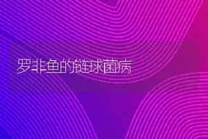 罗非鱼的链球菌病