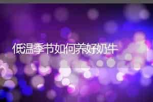 低温季节如何养好奶牛