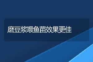磨豆浆喂鱼苗效果更佳