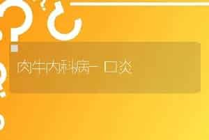 肉牛内科病-口炎