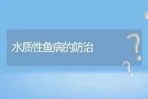 水质性鱼病的防治