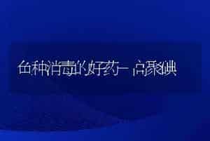 鱼种消毒的好药-高聚碘