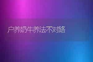 户养奶牛养法不对路