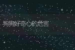 狗狗好奇心的危害