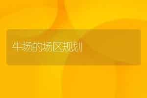 牛场的场区规划