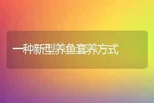 一种新型养鱼套养方式
