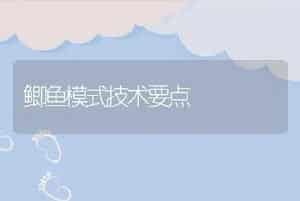 鲫鱼模式技术要点
