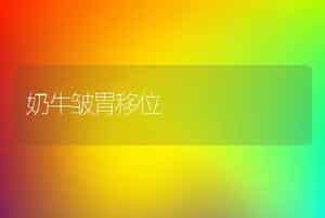 奶牛皱胃移位