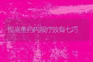 无公害奶牛管理技术
