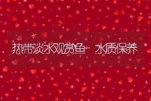 热带淡水观赏鱼-水质保养
