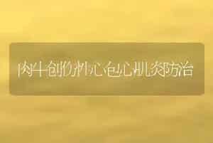 肉牛创伤性心包心肌炎防治