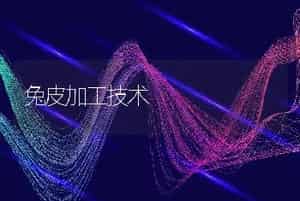 人工养殖大黄鱼技术