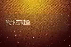 钦州石斑鱼