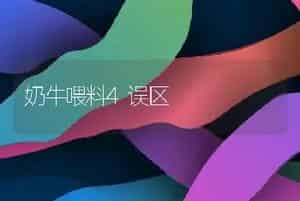 奶牛喂料4误区