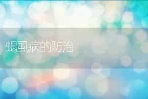 蝎虱病的防治