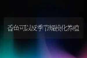 香鱼可以反季节规模化养殖