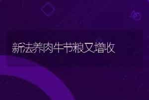 新法养肉牛节粮又增收