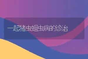 如何治疗龙鱼翻鳃