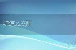 实用的修剪狗狗指甲方法