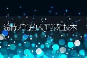 渝特大鳝的人工养殖技术