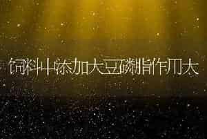 獭兔安全度夏管理经验