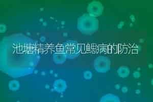 池塘精养鱼常见鳃病的防治