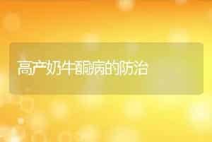 高产奶牛酮病的防治