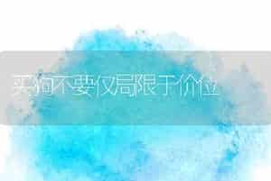 买狗不要仅局限于价位