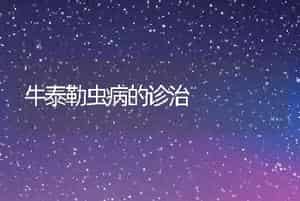 牛泰勒虫病的诊治