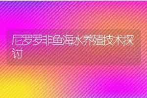 尼罗罗非鱼海水养殖技术探讨