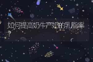 如何提高奶牛产奶的乳脂率？