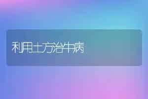 利用土方治牛病